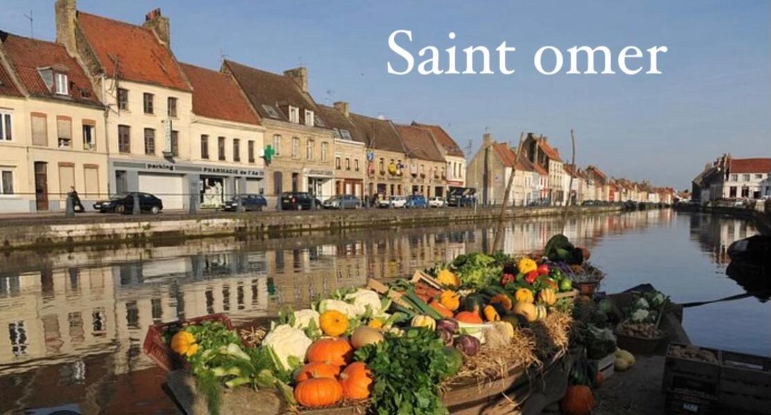 Le Clos Des Glycines Saint-Martin-Lez-Tatinghem Екстериор снимка